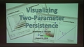 Image for Visualizing Two-parameter Persistence