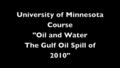 Image for Louisiana Wetlands & the Deepwater Horizon Tragedy: Don Davis, Dec. 2010