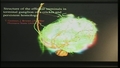 Image for Structure of the Afferent Terminals in Terminal Ganglion of a Cricket and Persistent Homology