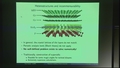 Image for Numerical modeling of incommensurate MoirÃ© atomic structures via C* algebras