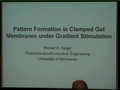 Image for Pattern Formation in Clamped Gel Membranes under Gradient Stimulation