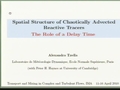 Image for Spatial structures of chaotically advected reactive tracers: The role of a delay time