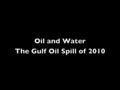 Image for Moving to Green Economies of Plenitude (Q&A): Juliet Schor, Oct. 2010