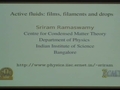 Image for Films and drops of active fluid