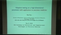 Image for Adaptive testing on a high-dimensional parameter with application to precision medicine