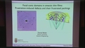 Image for Focal conic domains in smectic thin films: Frustration-induced defects and their frustrated packings