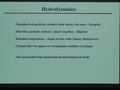 Image for Fluid dynamics and transport in particulate suspensions I