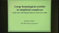 Image for Simplicial Complexes with Large Homological Systoles