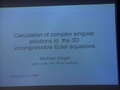 Image for Calculation of complex singular solutions to the 3D incompressible Euler equations