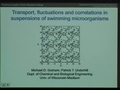 Image for Transport in suspensions of swimming organisms
