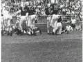 Image for History of Minnesota Football