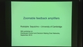 Image for Zoomable Feedback Amplifiers