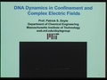 Image for DNA dynamics in confinement and complex electric fields