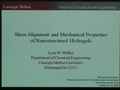 Image for Shear alignment and mechanical properties of nanostructured hydrogels