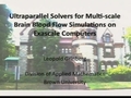 Image for Ultraparallel solvers for multi-scale brain blood flow simulations on exascale computers