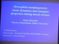 Image for Drosophila Morphogenesis: Tissue Dynamics and Emergent Properties During Dorsal Closure