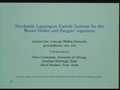 Image for Stochastic Lagrangian particle systems for the Navier-Stokes and Burgers equations