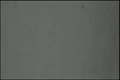 Image for Up From Poverty (Silent Film)