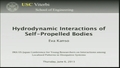 Image for Hydrodynamic Interactions of Self-Propelled Bodies