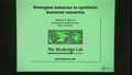 Image for Regulatory Networks in Synthetic Microbial Consortia