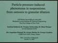Image for Particle pressure-induced phenomena in suspensions: from osmosis to granular dilation