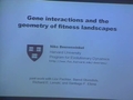 Image for Gene Interactions and the Geometry of Fitness Landscapes