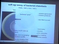 Image for Bacterial Chemotaxis: Sophisticated Behavior from Simple Circuitry