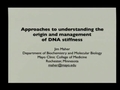 Image for Approaches to Understanding the Origin and Management of DNA Stiffness