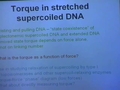 Image for Torque in Stretched and Twisted DNA