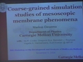 Image for Coarse-grained simulation studies of mesoscopic membrane phenomena