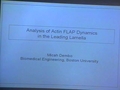Image for Analysis of Actin FLAP Dynamics in the Leading Lamella