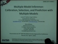 Image for Multiple Model Inference: Calibration and Selection with Multiple Models