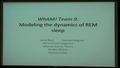 Image for Modeling the Dynamics of REM Sleep