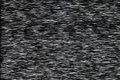 Image for Affirmative Action ‚Paul G. Miller Segment