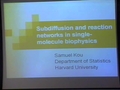 Image for Subdiffusion and reaction networks in biophysics