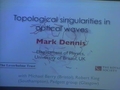 Image for Topological singularities in optical waves