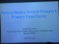 Image for Natural Images, Natural Percepts and Primary Visual Cortex