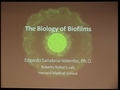 Image for The biology of biofilms