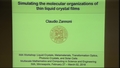 Image for Simulating the molecular organizations of thin liquid crystal films