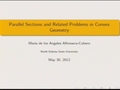 Image for Parallel sections and related problems in convex geometry