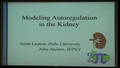 Image for Modeling Autoregulation in the Kidney