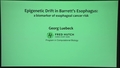 Image for Epigenetic Drift in Barrett's Esophagus: a biomarker of esophageal cancer risk