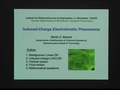 Image for Induced-charge electrokinetics