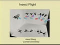 Image for Tutorial: Introduction to insect flight