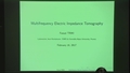 Image for Identification of an Inclusion in Multifrequency Electrical Impedance Tomography