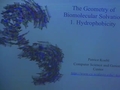 Image for The geometry of biomolecular solvation. Part 1: Hydrophobicity