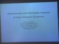 Image for Stochastic aspects of actin filament dynamics