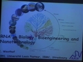 Image for Architecture and Reactivity of RNA