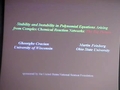 Image for Stability and Instability in Polynomial Equations Arising from Complex Chemical Reaction Networks: The Big Picture