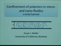 Image for Confinement effects with macromolecules